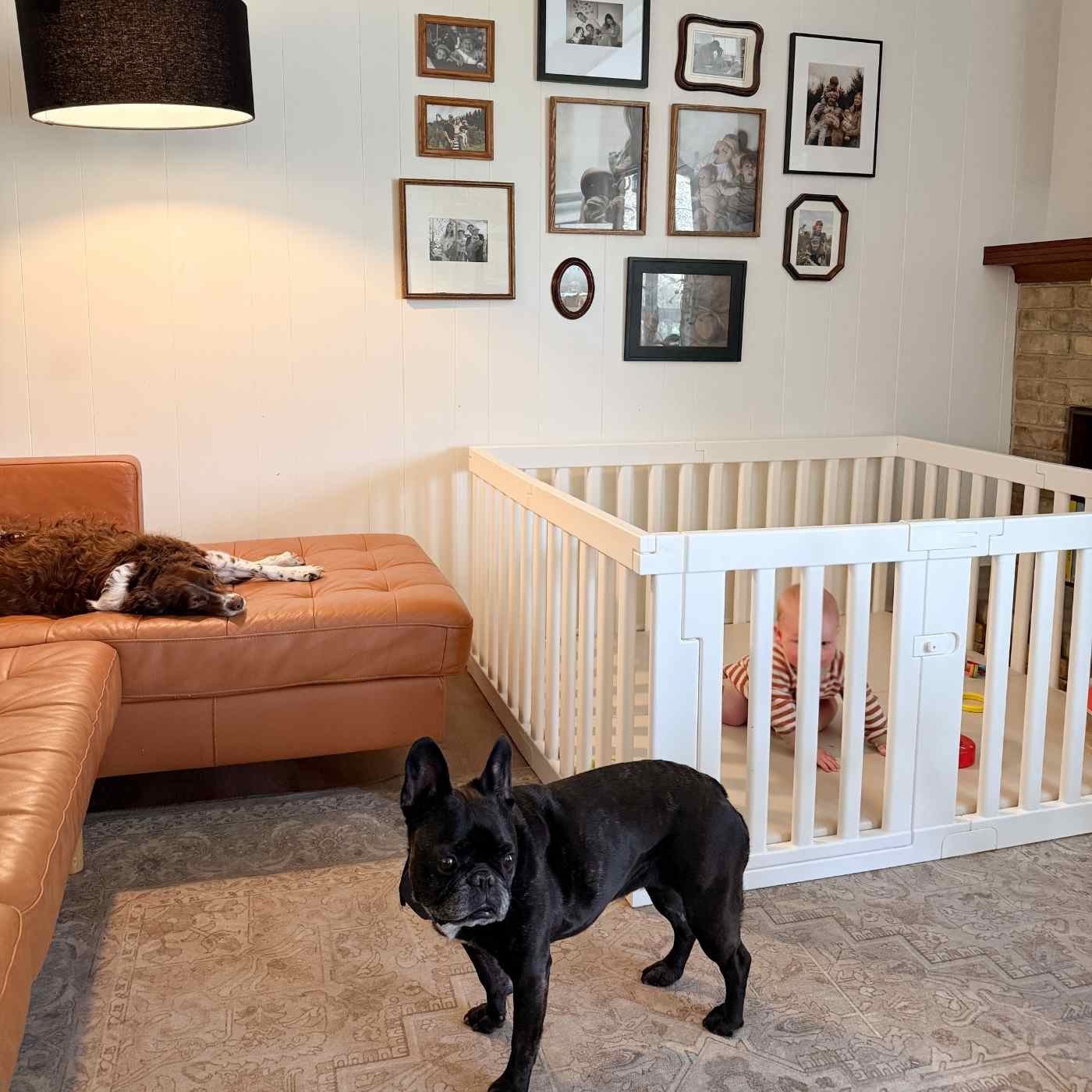 Prima Playpen