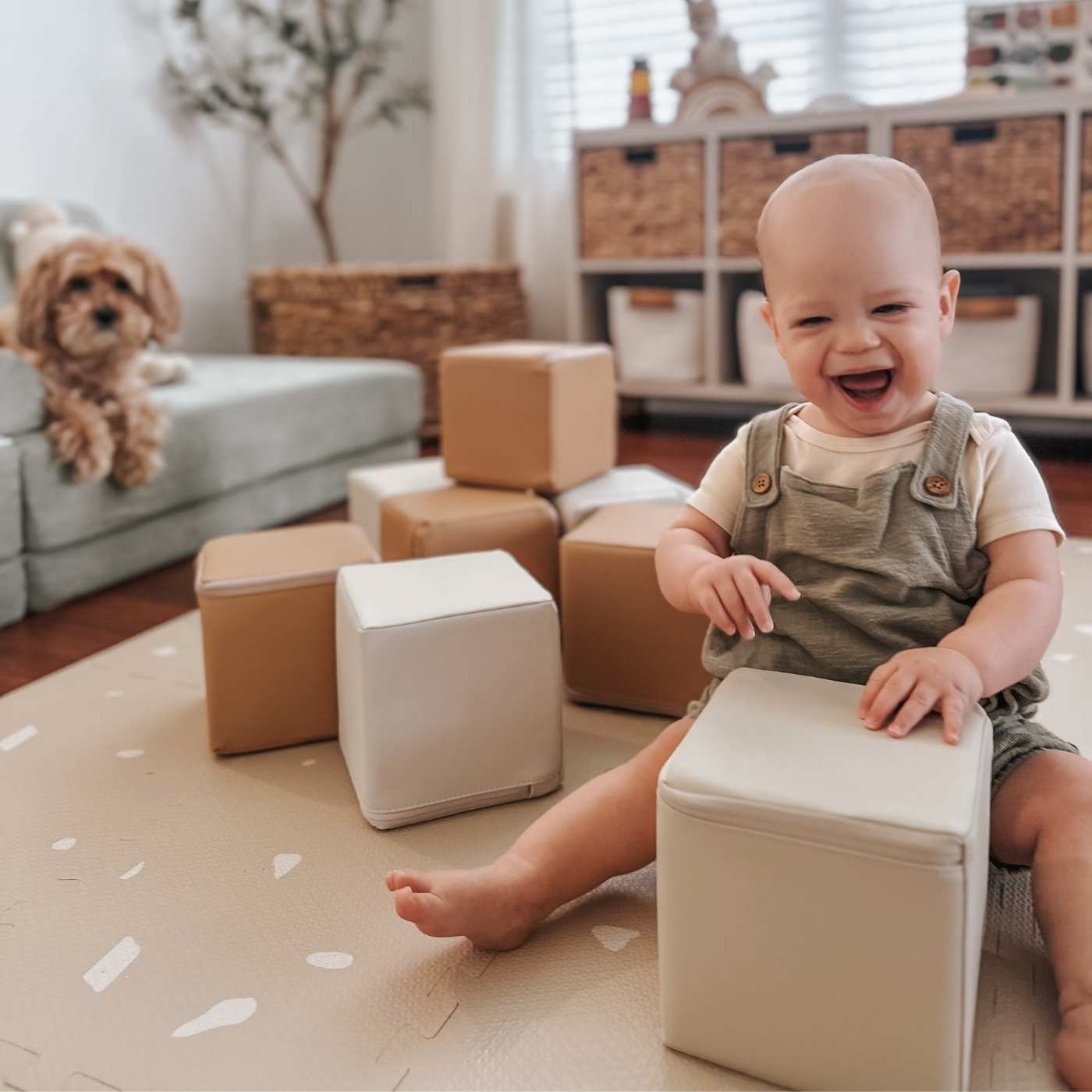 Play Cubes